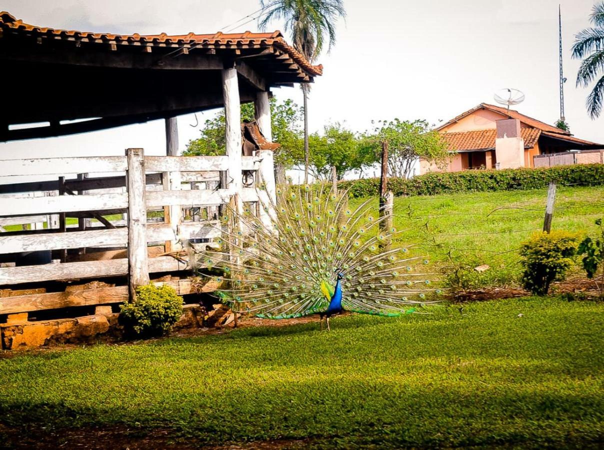 Pousada Casco De Ouro Miguelopolis Exterior photo